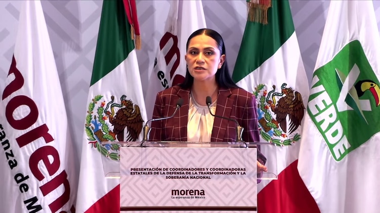 Ariadna Montiel, dirigente nacional de Morena, presentó el nombramiento.