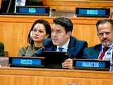 Segob fija postura en la ONU sobre el Comité de Desaparición Forzada.