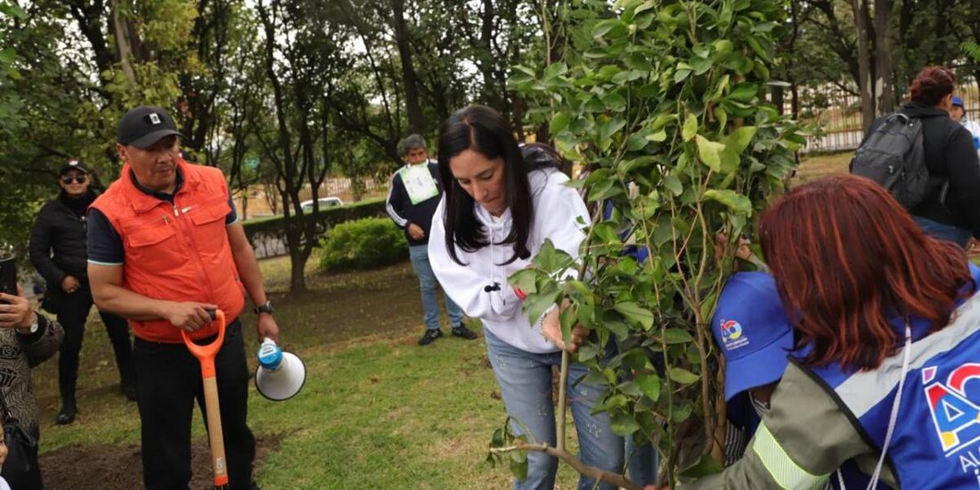 Lía Limón anuncia tercera jornada anual de reforestación en Álvaro Obregón.
