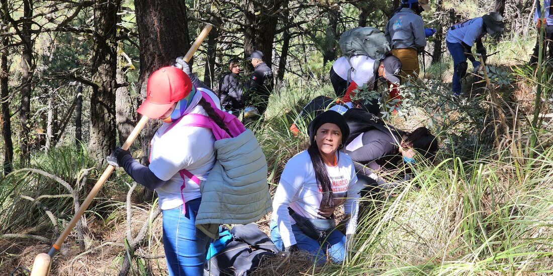 Elizabeth Menchaca (de rodillas), ayer, en el segundo día de las labores de búsqueda de restos en el Llano de Vidrio, en el Ajusco.