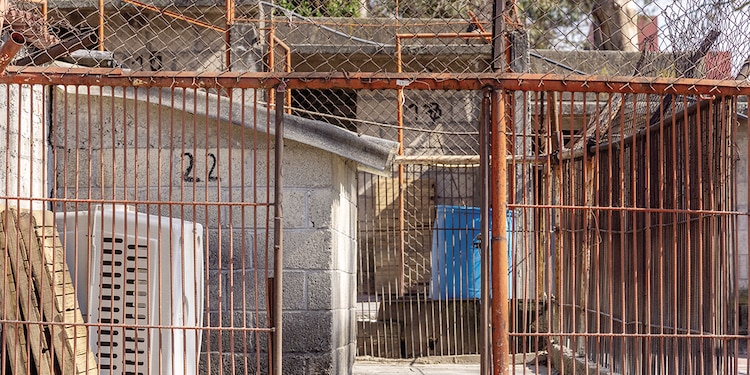EL REFUGIO rehabilita las casetas en las
que se encontraban los animales.