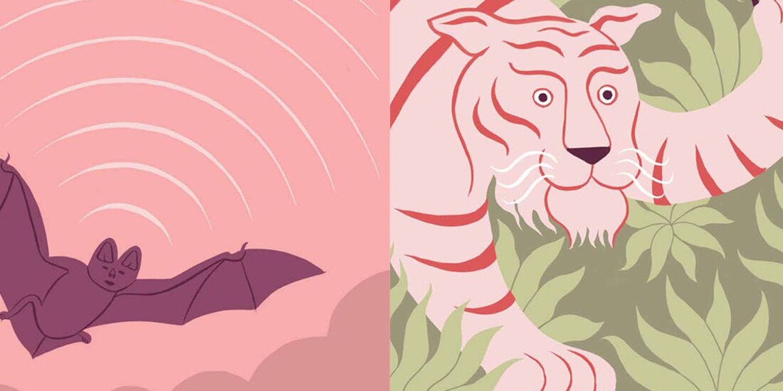 La autora comparte diversos significados.