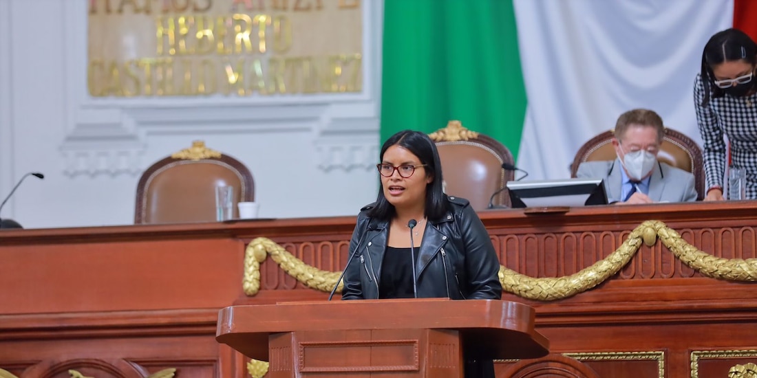 La diputada Alejandra Méndez, durante su intervención en tribuna en la sesión de ayer.