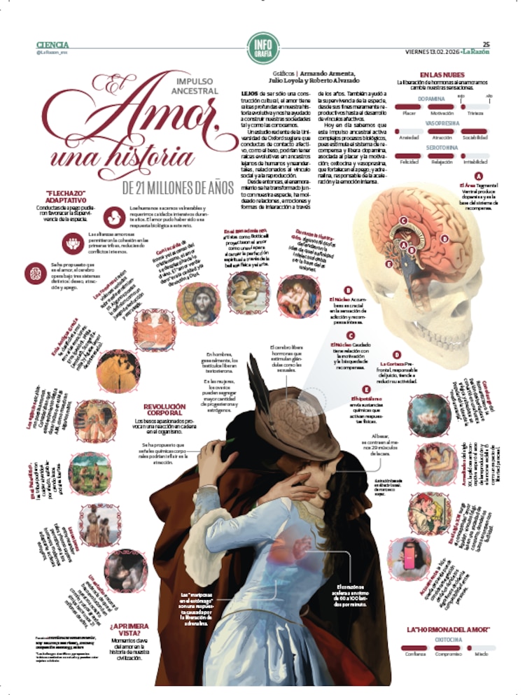 El amor, una historia de 21 millones de años