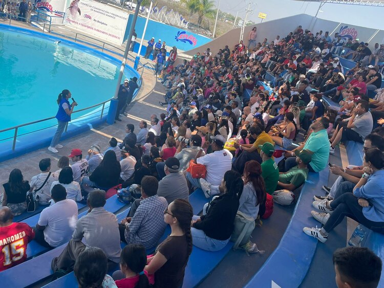 La candidata comparte su visión para mejorar la calidad de vida de las familias guanajuatenses.