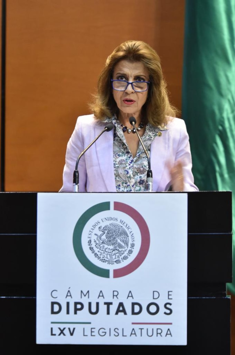 La diputada Pérez-Jaén cuestionó al secretario de la Función Pública, Roberto Salcedo.