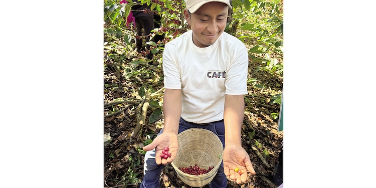 Starbucks le "devuelve la mano" a México con icónico lanzamiento