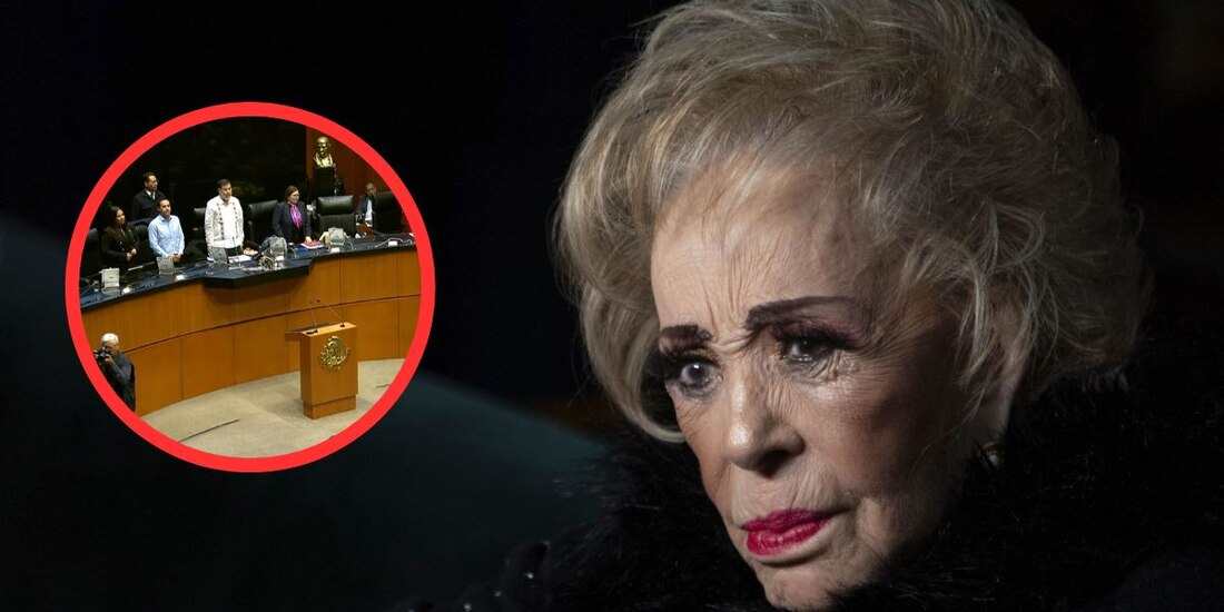 Senado guarda minuto de silencio por muerte de la primera actriz Silva Pinal.