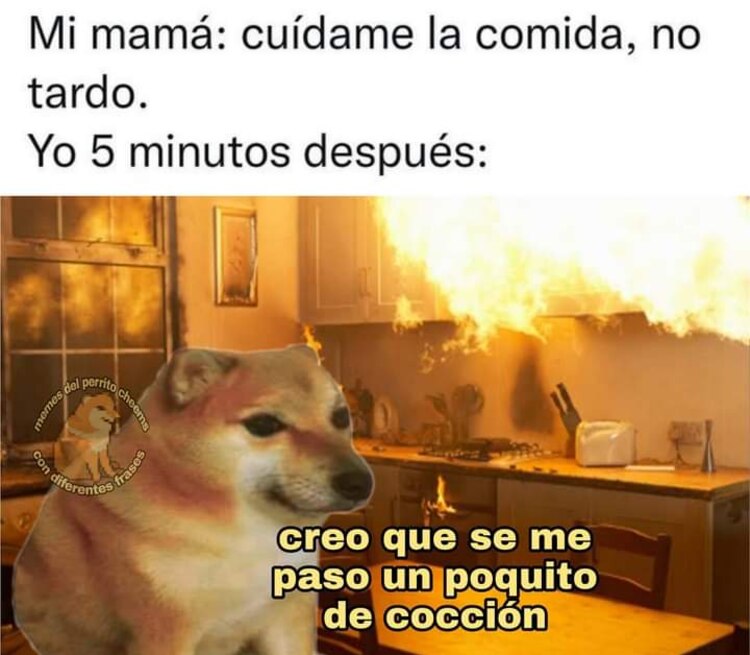 Estos son TODOS los memes con los que recordaremos para siempre a ...