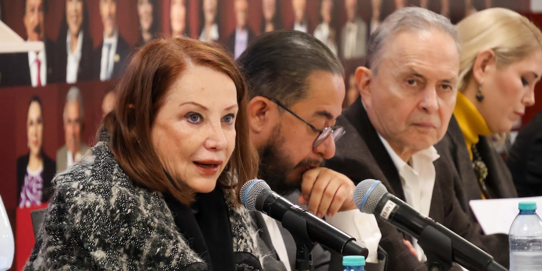 Laura Itzel Castillo Juárez, presidenta de la Mesa Directiva del Senado, el miércoles 14 de enero de 2026.