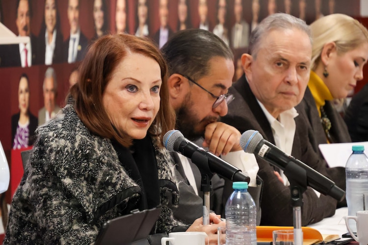 Laura Itzel Castillo Juárez, presidenta de la Mesa Directiva del Senado, el miércoles 14 de enero de 2026.