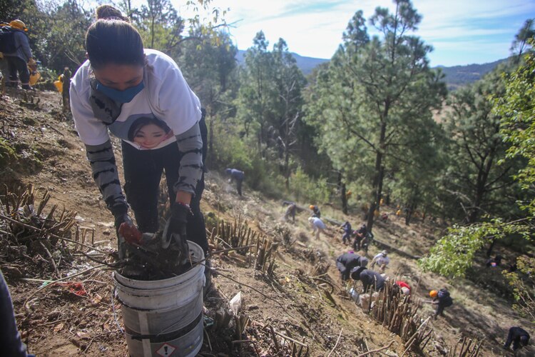 Más de un centenar de personas participó en la búsqueda de restos de Monserrat Uribe durante tres días.