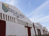 Segalmex, Liconsa y Diconsa acumulan más de 5 mil millones de pesos en irregularidades financieras desde 2019, según la Auditoría Superior de la Federación.