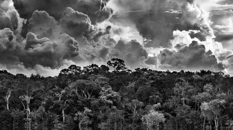 Archipiélago fluvial de Mariúa, en Brasil.
