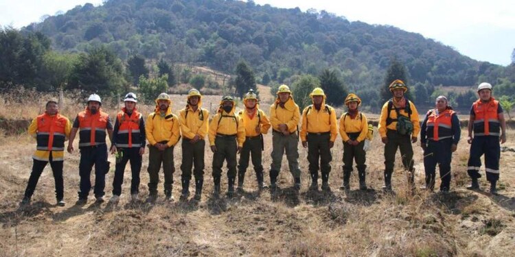 La campaña, puntualizó la alcaldesa, está enfocada a los paseantes que gustan de disfrutar las áreas verdes y zonas boscosas de Tlalpan.