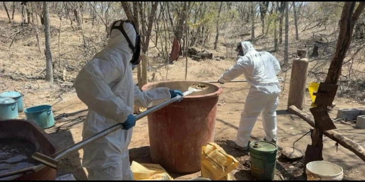 Marina localiza laboratorio de metanfetamina en Sinaloa