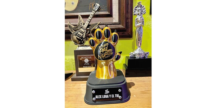 Algunos de los discos y reconocimientos de la banda mexicana.