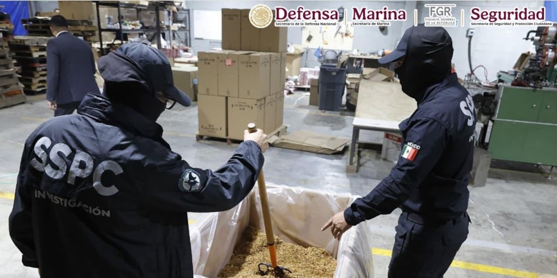 Elementos de Seguridad federal en la operación.