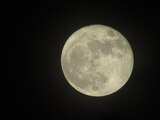 Luna de llena