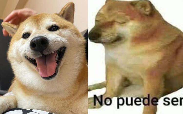 Estos son TODOS los memes con los que recordaremos para siempre a ...