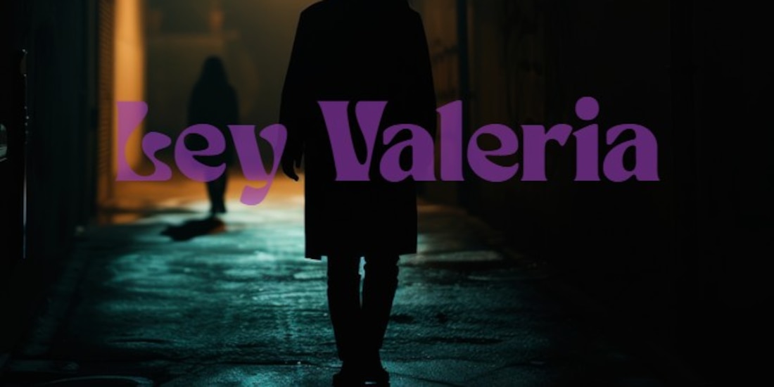 La Ley Valeria se aplica en Nuevo León, sin embargo el castigo por acechar está tipificado como delito en cuatro estados.