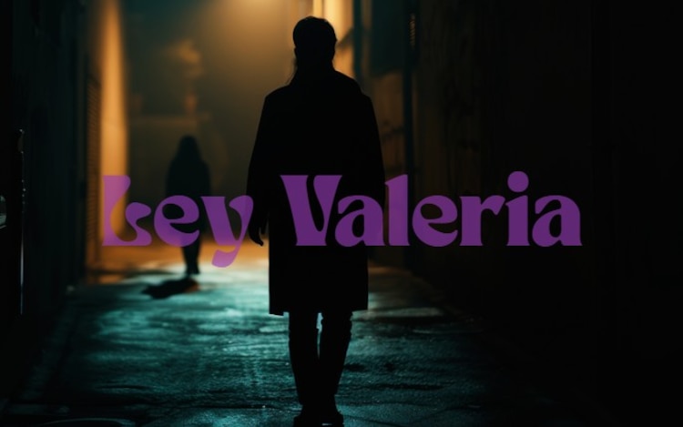 La Ley Valeria se aplica en Nuevo León, sin embargo el castigo por acechar está tipificado como delito en cuatro estados.