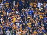 Aficionados de los Tigres, en un partido de Liga MX