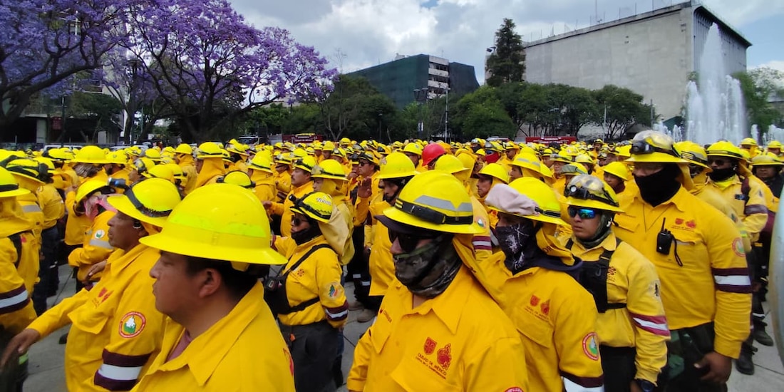Los combatientes fueron presentados por las autoridades de CDMX.