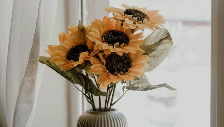 Día de las flores amarillas en septiembre