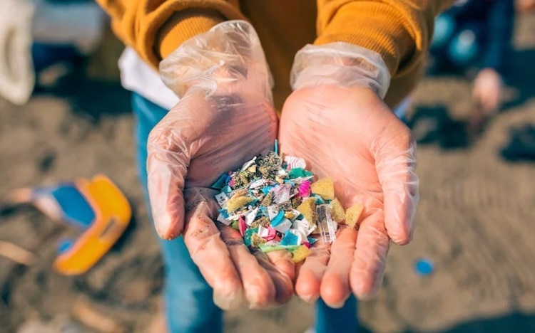 Voluntarios recogiendo microplásticos en la playa. Los microplásticos son uno de los elementos más contaminantes del aire y el océano