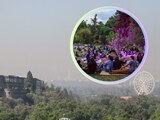 Habrá mega picnic en el Festival del Bosque de Chapultepec.