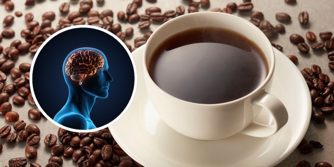 ¿Cafeína mejora salud intestinal y concentración? Esto encontró el estudio.