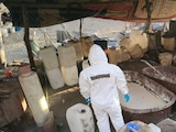 Autoridades federales desmantelan cinco narcolaboratorios en Nayarit, Jalisco y Sinaloa.