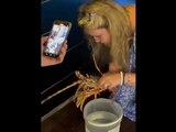 La imagen muestra el instante previo en que una turista libera a una costosa langosta en el mar