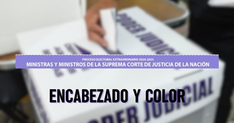 Las boletas incluyen un encabezado que indican por qué cargo estás votando, además de que están diseñadas con un color distintivo, diferente para cada uno.