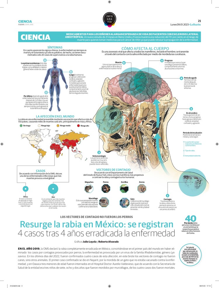 Resurge la rabia en México: se registran 4 casos tras 4 años erradicada la enfermedad
