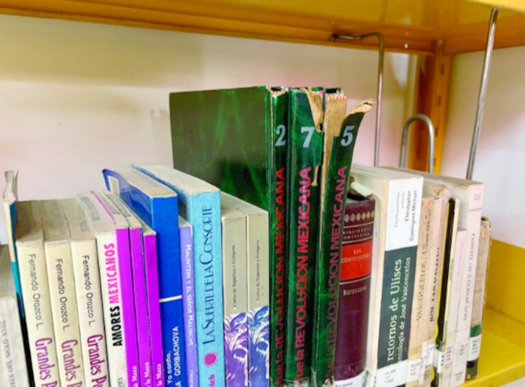 Biblioteca pública Club Rotario │ hace falta actualizar acervos y hay libros con daños