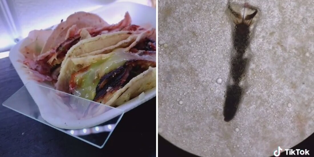 Parte de un insecto y pelo están entre las cosas que encontró en los tacos de la calle