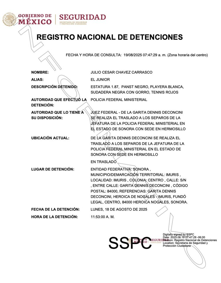 Ficha del Registro Nacional de Detenciones sobre Julio César Chávez Jr.