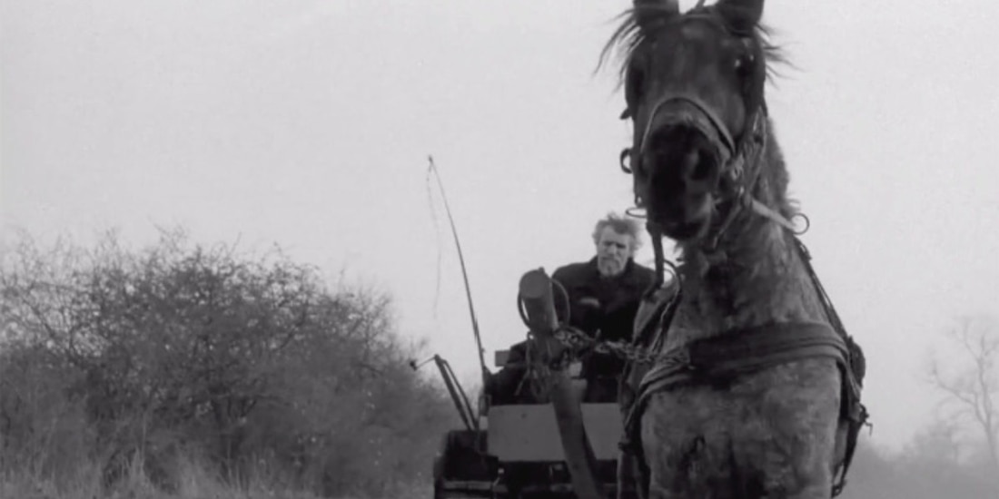 El Caballo de Turín, la última película de Béla Tarr