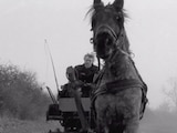 El Caballo de Turín, la última película de Béla Tarr