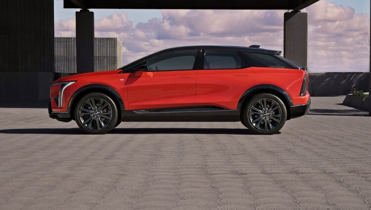 OPTIQ ofrece una experiencia única y personalizada.