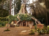 Airbnb pone en renta la famosa casa de Shrek.