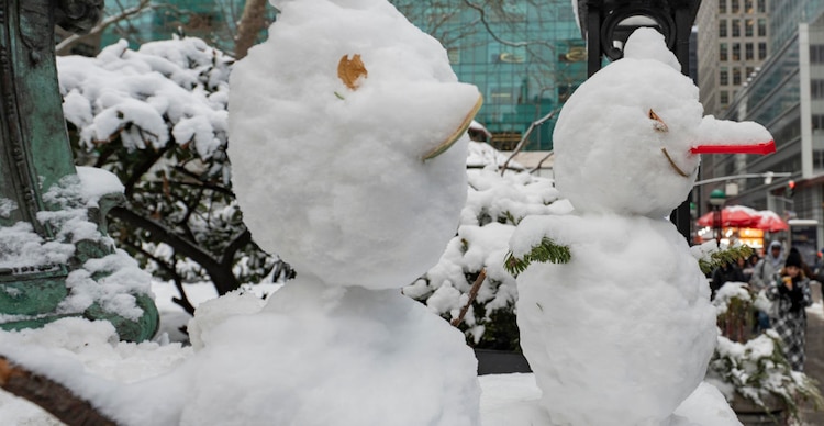 Tormenta invernal New York