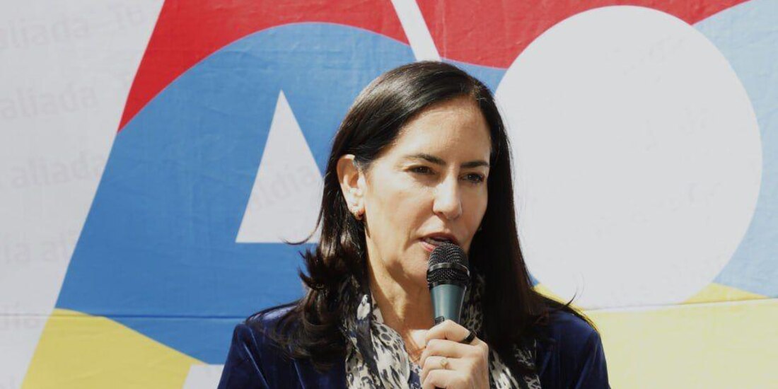 La alcaldesa Lía Limón acusó que hay una campaña en su contra.