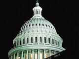 El Capitolio de los Estados Unidos en el día 43 del cierre parcial del gobierno.
