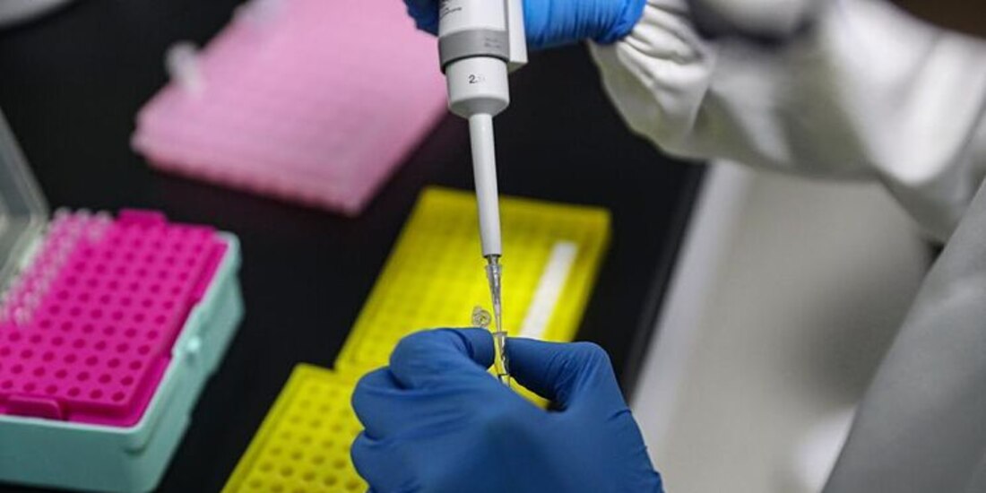 Investigaciones contra la nueva cepa del coronavirus.