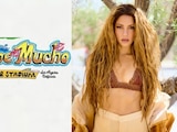 Cancelan el festival Bésame Mucho en Los Ángeles ¿por culpa de Shakira?