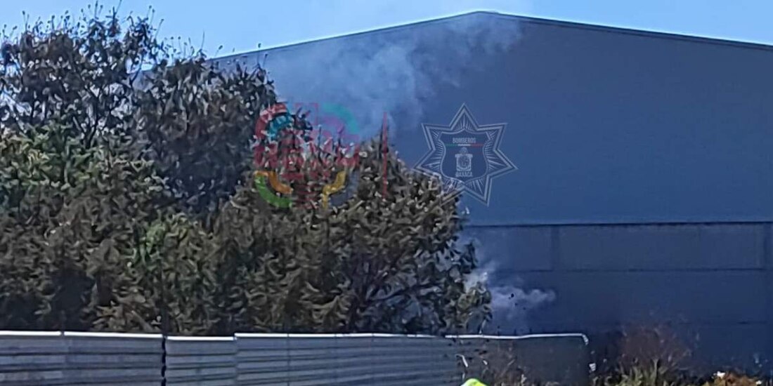 Fuego consume pastizales secos en San Antonio de la Cal.