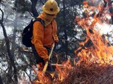 Conafor informó que hay 12 incendios forestales activos en México